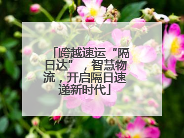 跨越速运“隔日达”，智慧物流，开启隔日速递新时代