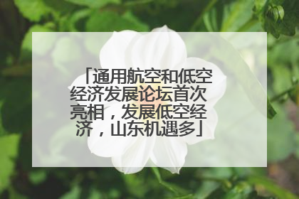 通用航空和低空经济发展论坛首次亮相，发展低空经济，山东机遇多