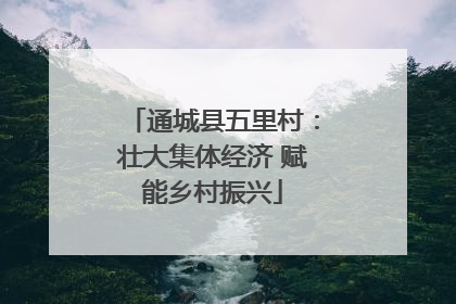 通城县五里村：壮大集体经济 赋能乡村振兴