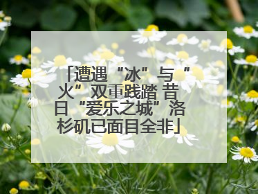 遭遇“冰”与“火”双重践踏 昔日“爱乐之城”洛杉矶已面目全非