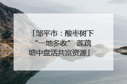 邹平市：酸枣树下“一地多收” 莲藕塘中盘活共富资源