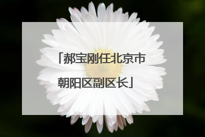 郝宝刚任北京市朝阳区副区长