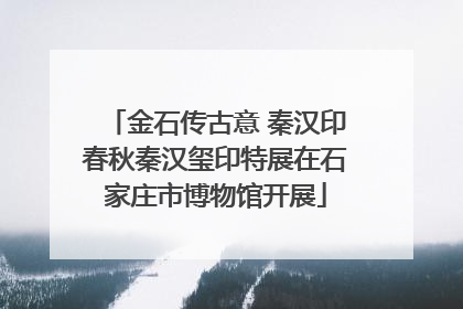 金石传古意 秦汉印春秋秦汉玺印特展在石家庄市博物馆开展