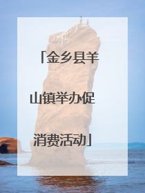 金乡县羊山镇举办促消费活动
