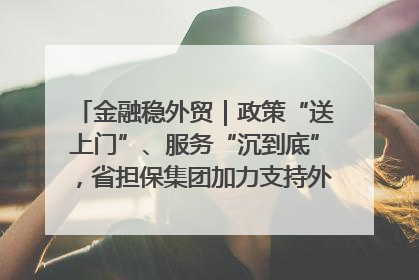金融稳外贸｜政策“送上门”、服务“沉到底”，省担保集团加力支持外经贸高质量发展