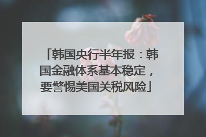 韩国央行半年报：韩国金融体系基本稳定，要警惕美国关税风险