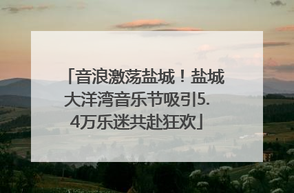 音浪激荡盐城！盐城大洋湾音乐节吸引5.4万乐迷共赴狂欢