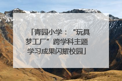 青园小学：“玩具梦工厂”跨学科主题学习成果闪耀校园