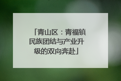 青山区：青福镇民族团结与产业升级的双向奔赴
