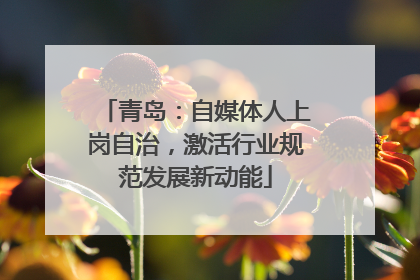 青岛：自媒体人上岗自治，激活行业规范发展新动能