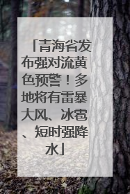 青海省发布强对流黄色预警！多地将有雷暴大风、冰雹、短时强降水