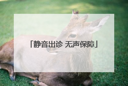 静音出诊 无声保障