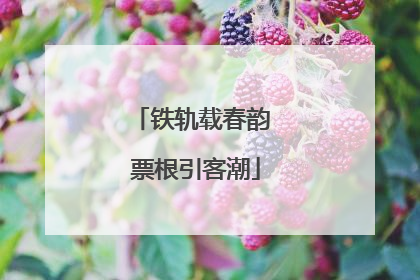 铁轨载春韵 票根引客潮