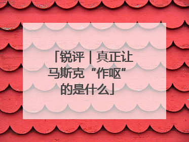 锐评｜真正让马斯克“作呕”的是什么