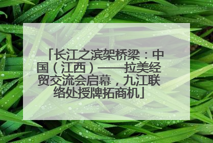长江之滨架桥梁：中国（江西）——拉美经贸交流会启幕，九江联络处授牌拓商机