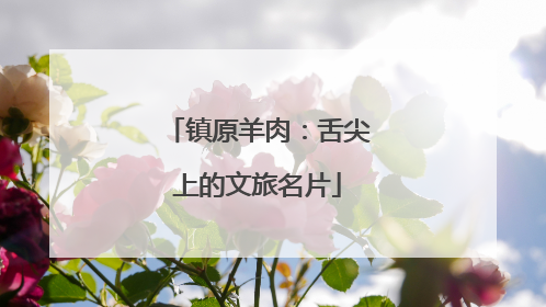 镇原羊肉：舌尖上的文旅名片