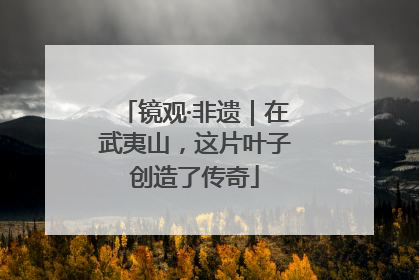 镜观·非遗｜在武夷山，这片叶子创造了传奇