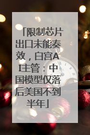 限制芯片出口未能奏效，白宫AI主管：中国模型仅落后美国不到半年