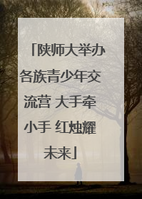 陕师大举办各族青少年交流营 大手牵小手 红烛耀未来