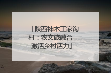 陕西神木王家沟村：农文旅融合 激活乡村活力