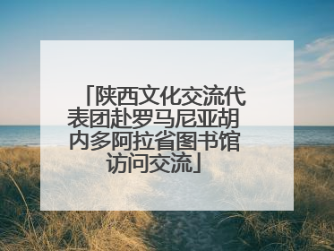 陕西文化交流代表团赴罗马尼亚胡内多阿拉省图书馆访问交流