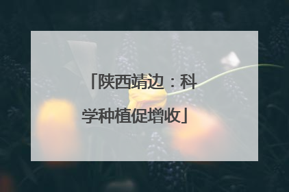 陕西靖边：科学种植促增收