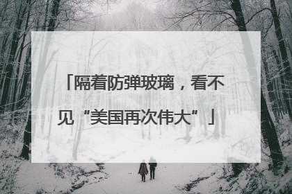 隔着防弹玻璃，看不见“美国再次伟大”