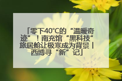 零下40℃的“温暖奇迹”！南充馆“黑科技”旅居舱让极寒成为背景丨西博寻“新”记
