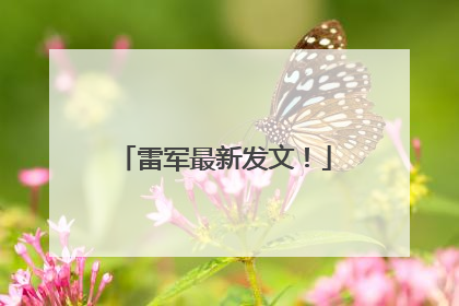 雷军最新发文！