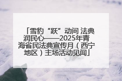 雪豹“跃”动间 法典润民心——2025年青海省民法典宣传月（西宁地区）主场活动见闻