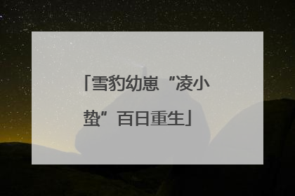 雪豹幼崽“凌小蛰”百日重生