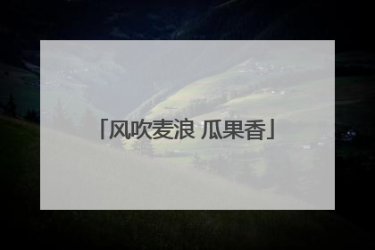 风吹麦浪 瓜果香