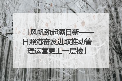 风帆劲起满目新——日照港奋发进取推动管理运营更上一层楼
