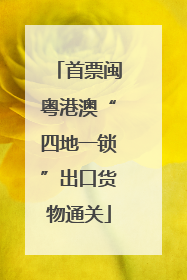 首票闽粤港澳“四地一锁”出口货物通关