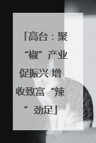高台：聚“椒”产业促振兴 增收致富“辣”劲足