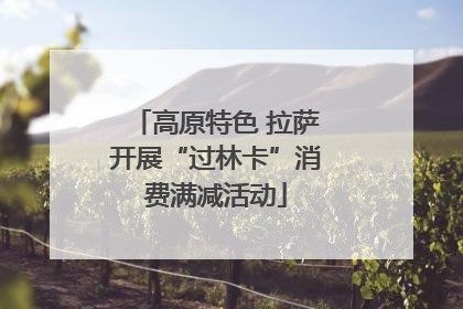 高原特色 拉萨开展“过林卡”消费满减活动