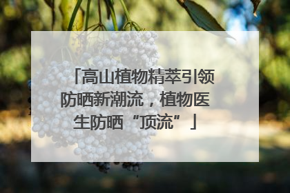 高山植物精萃引领防晒新潮流，植物医生防晒“顶流”