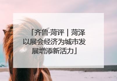 齐鲁·菏评｜菏泽以展会经济为城市发展增添新活力