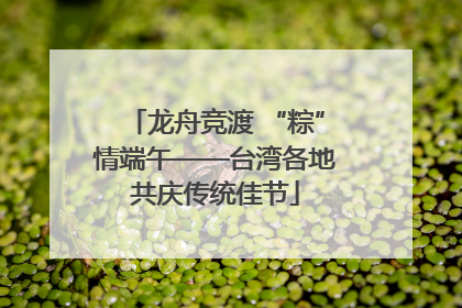 龙舟竞渡 “粽”情端午——台湾各地共庆传统佳节