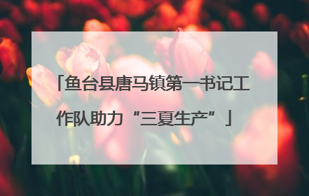 鱼台县唐马镇第一书记工作队助力“三夏生产”