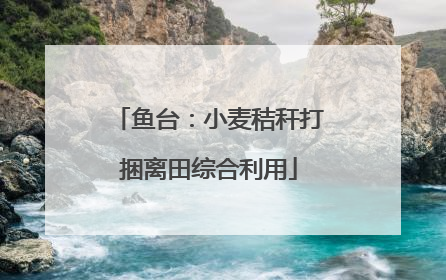 鱼台：小麦秸秆打捆离田综合利用