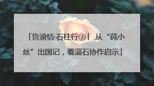 鲁渝情·石柱行② ︳从“莼小丝”出国记，看淄石协作启示
