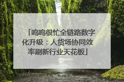 鸣鸣很忙全链路数字化升级：人货场协同效率刷新行业天花板