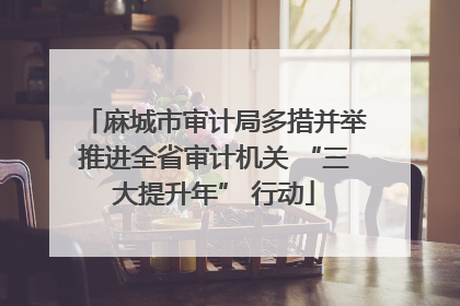 麻城市审计局多措并举推进全省审计机关 “三大提升年” 行动