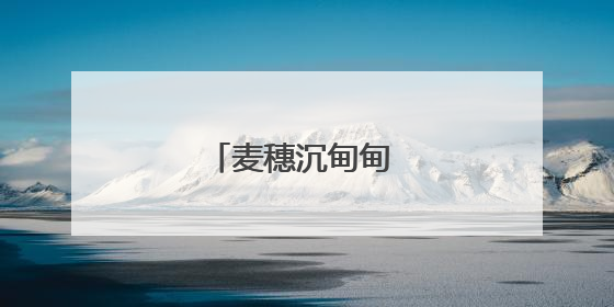 麦穗沉甸甸 粮安稳当当
