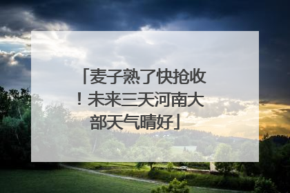 麦子熟了快抢收！未来三天河南大部天气晴好