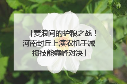 麦浪间的护粮之战！河南封丘上演农机手减损技能巅峰对决