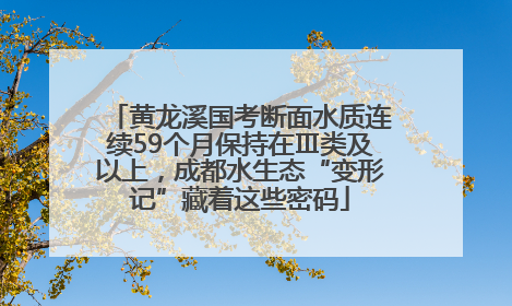 黄龙溪国考断面水质连续59个月保持在Ⅲ类及以上，成都水生态“变形记”藏着这些密码