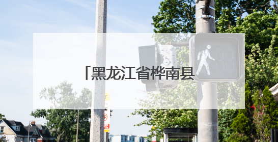 黑龙江省桦南县：科技人才驱动 赋能产业促发展