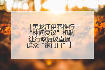 黑龙江伊春推行“林间复议”机制 让行政复议直通群众“家门口”